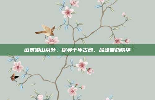 山东崂山茶叶，探寻千年古韵，品味自然精华