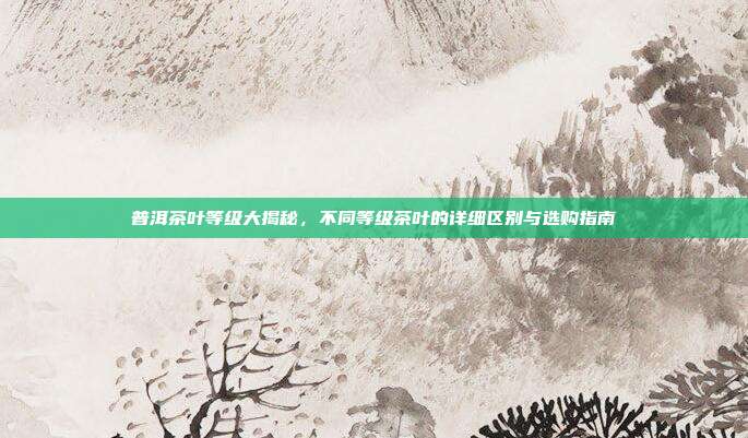 普洱茶叶等级大揭秘，不同等级茶叶的详细区别与选购指南