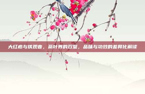 大红疱与铁观音，茶叶界的双璧，品味与功效的差异化解读