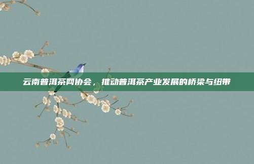 云南普洱茶网协会，推动普洱茶产业发展的桥梁与纽带