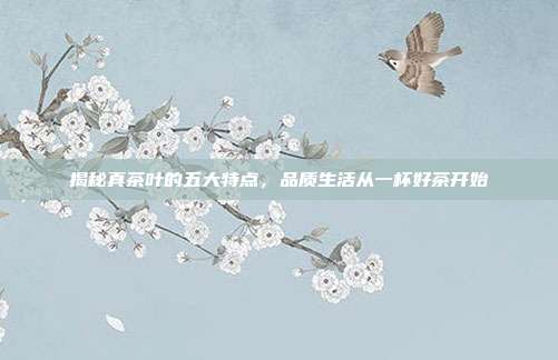 揭秘真茶叶的五大特点，品质生活从一杯好茶开始