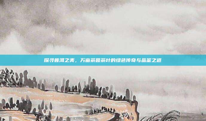 探寻普洱之美，万亩茶园茶叶的绿色传奇与品鉴之道