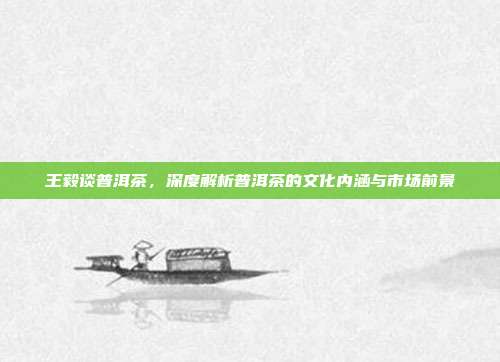 王毅谈普洱茶，深度解析普洱茶的文化内涵与市场前景