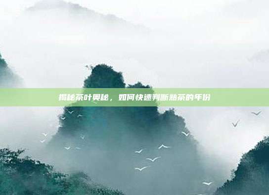 揭秘茶叶奥秘，如何快速判断熟茶的年份
