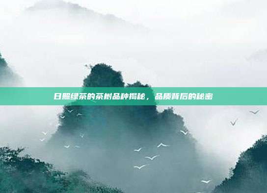 日照绿茶的茶树品种揭秘，品质背后的秘密