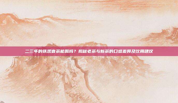 二三年的铁观音茶能喝吗？揭秘老茶与新茶的口感差异及饮用建议