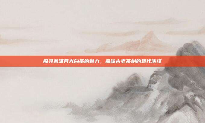 探寻普洱月光白茶的魅力，品味古老茶树的现代演绎
