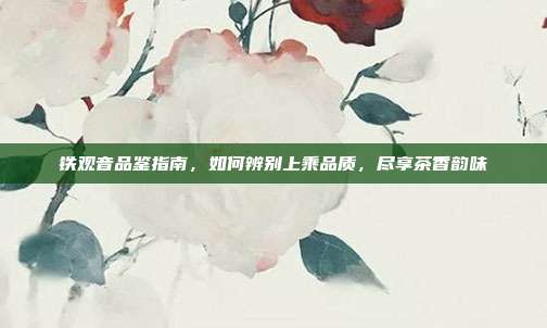 铁观音品鉴指南，如何辨别上乘品质，尽享茶香韵味