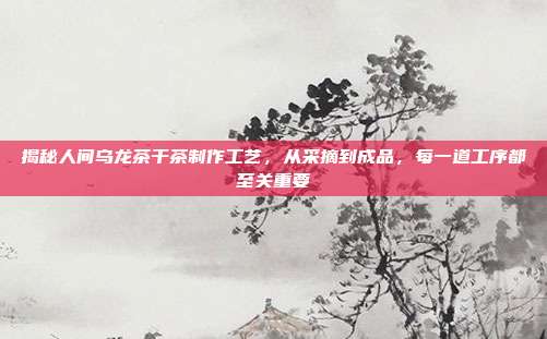 揭秘人间乌龙茶干茶制作工艺，从采摘到成品，每一道工序都至关重要