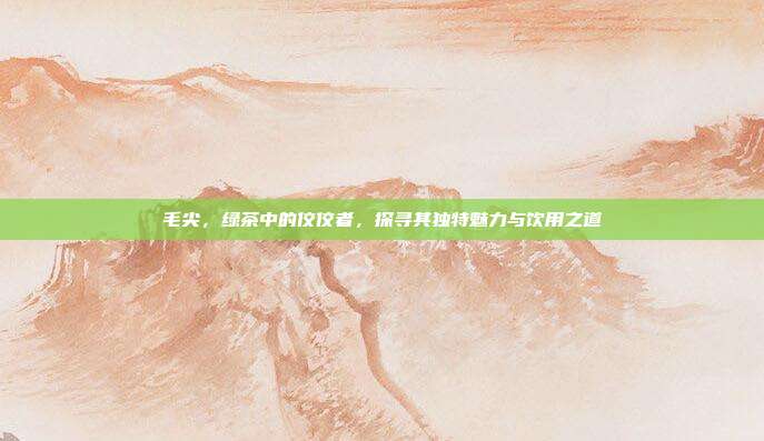 毛尖，绿茶中的佼佼者，探寻其独特魅力与饮用之道