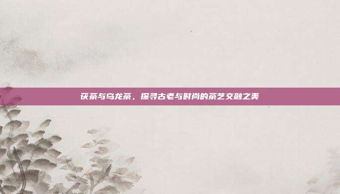 茯茶与乌龙茶，探寻古老与时尚的茶艺交融之美