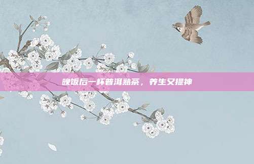 晚饭后一杯普洱熟茶，养生又提神