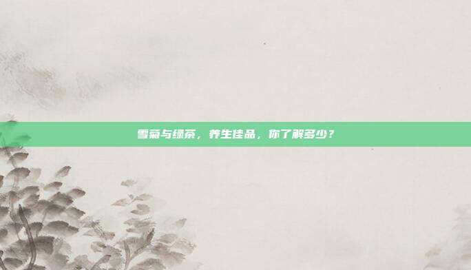 雪菊与绿茶，养生佳品，你了解多少？