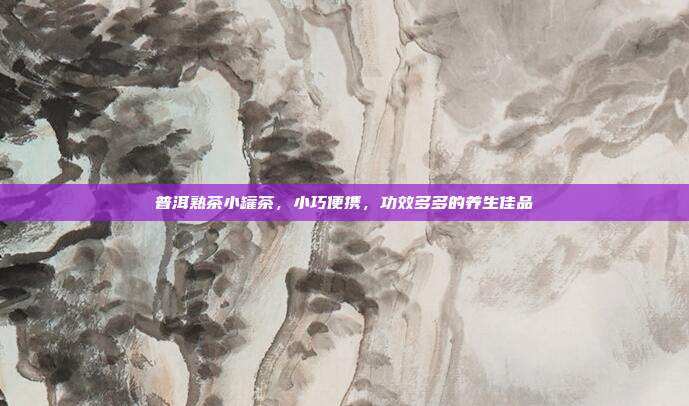 普洱熟茶小罐茶，小巧便携，功效多多的养生佳品