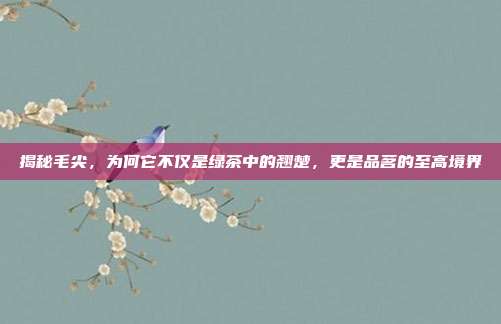 揭秘毛尖，为何它不仅是绿茶中的翘楚，更是品茗的至高境界