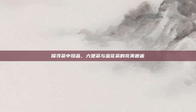 探寻茶中珍品，六堡茶与金花茶的完美邂逅