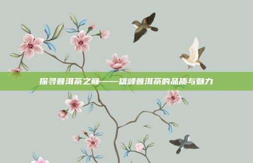 探寻普洱茶之巅——雄峰普洱茶的品质与魅力