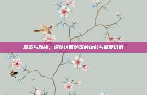 黑茶与熟普，揭秘这两种茶的功效与保健价值