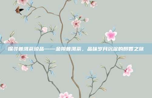 探寻普洱茶珍品——金翎普洱茶，品味岁月沉淀的醇香之旅