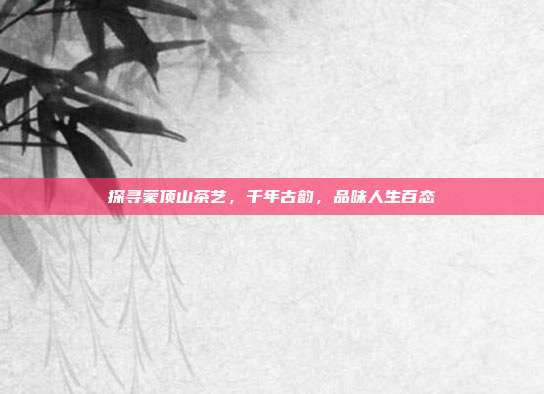 探寻蒙顶山茶艺，千年古韵，品味人生百态