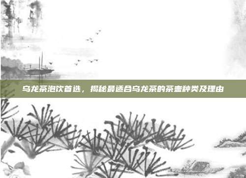 乌龙茶泡饮首选，揭秘最适合乌龙茶的茶壶种类及理由