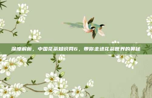 深度解析，中国花茶知识网6，带你走进花茶世界的奥秘