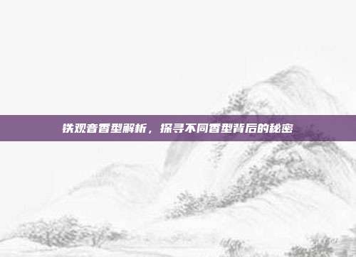 铁观音香型解析，探寻不同香型背后的秘密