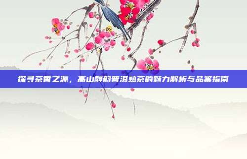 探寻茶香之源，高山醇韵普洱熟茶的魅力解析与品鉴指南