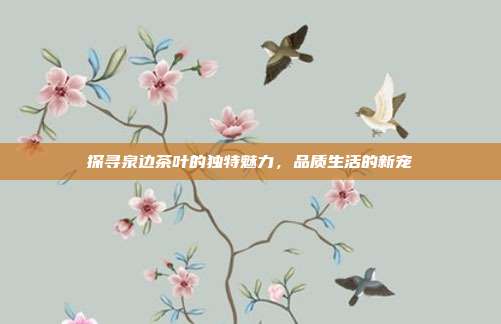 探寻泉边茶叶的独特魅力，品质生活的新宠