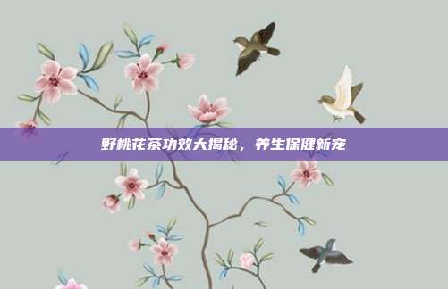 野桃花茶功效大揭秘，养生保健新宠