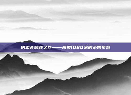 铁观音巅峰之作——海拔1080米的茶香传奇