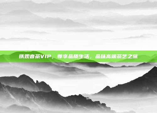 铁观音茶VIP，尊享品质生活，品味高端茶艺之旅