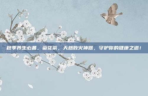 秋季养生必备，菊花茶，天然败火神器，守护你的健康之道！