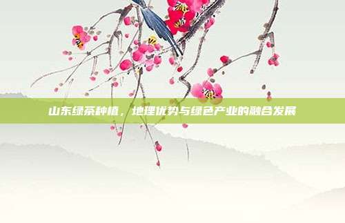 山东绿茶种植，地理优势与绿色产业的融合发展