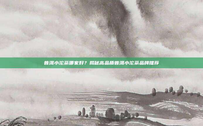 普洱小沱茶哪家好？揭秘高品质普洱小沱茶品牌推荐