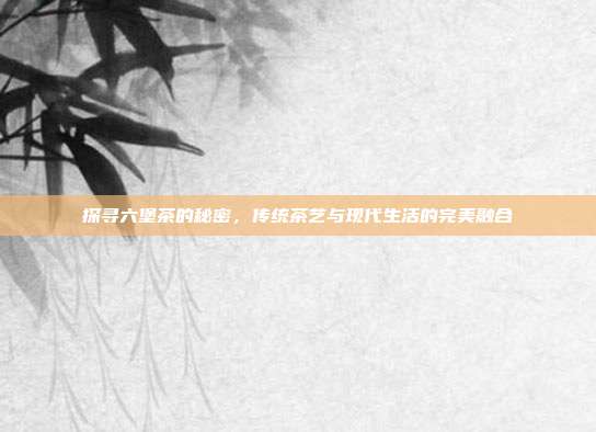 探寻六堡茶的秘密，传统茶艺与现代生活的完美融合