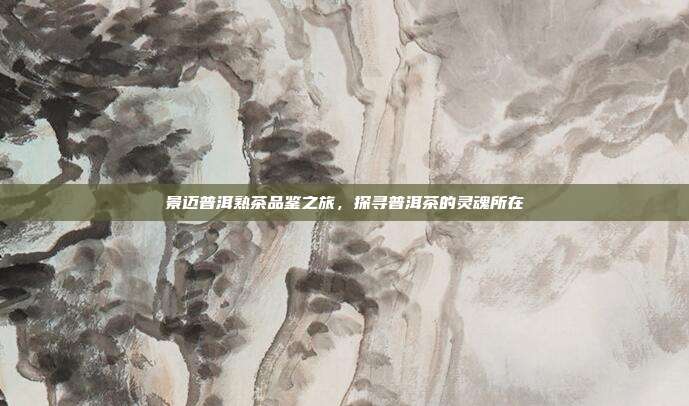 景迈普洱熟茶品鉴之旅，探寻普洱茶的灵魂所在
