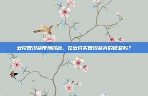 云南普洱茶市场探秘，在云南买普洱茶真的便宜吗？