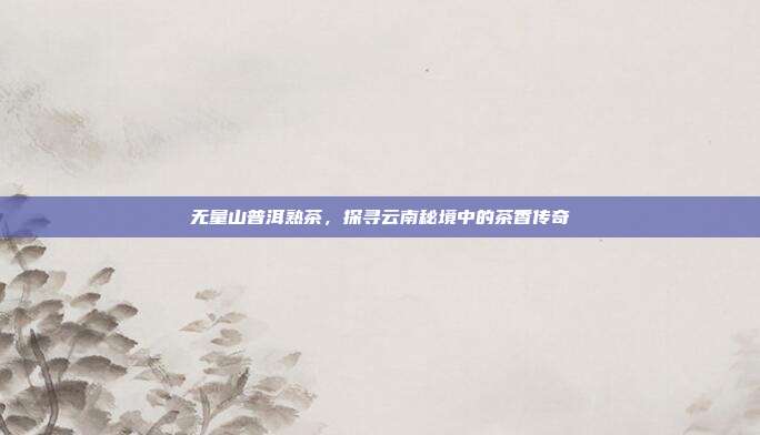 无量山普洱熟茶，探寻云南秘境中的茶香传奇