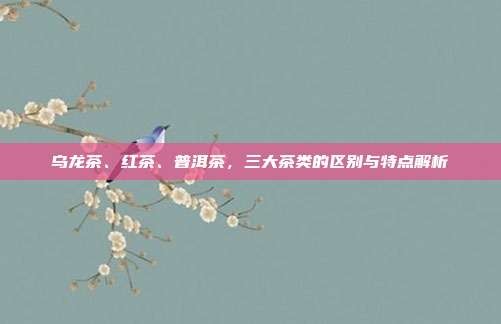 乌龙茶、红茶、普洱茶，三大茶类的区别与特点解析