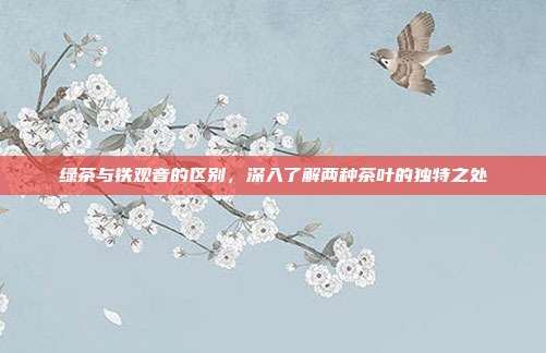 绿茶与铁观音的区别，深入了解两种茶叶的独特之处