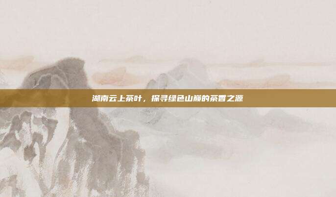 湖南云上茶叶，探寻绿色山巅的茶香之源