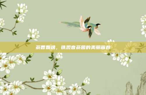 茶香飘逸，铁观音茶园的美丽画卷