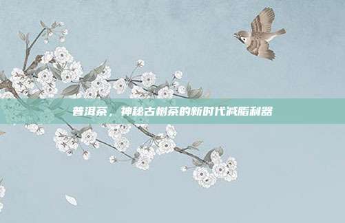 普洱茶，神秘古树茶的新时代减脂利器