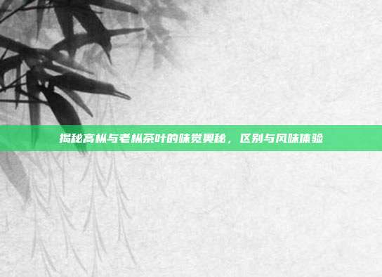 揭秘高枞与老枞茶叶的味觉奥秘，区别与风味体验
