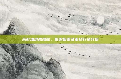 茶叶地价格揭秘，影响因素及市场行情分析