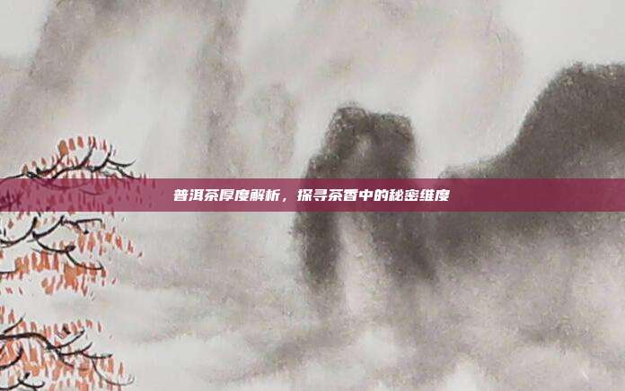 普洱茶厚度解析，探寻茶香中的秘密维度