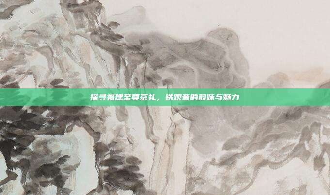 探寻福建至尊茶礼，铁观音的韵味与魅力