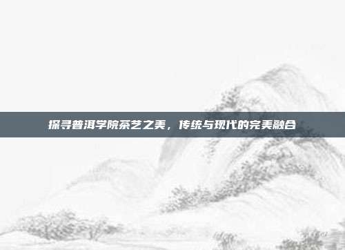 探寻普洱学院茶艺之美，传统与现代的完美融合