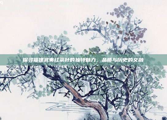 探寻福建武夷红茶叶的独特魅力，品质与历史的交融